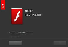 Windows Server 2016 or 2019显示启用Adobe Flash Player